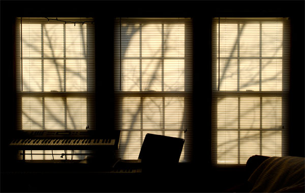 A March morning in my sunroom.