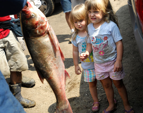 ADAM/JOURNAL STAR  Jadyn Stone, 3, and her older sister Joslyn, 4, right, both of Bath, look with a mixture of disgust and curiosity at a 8.2 pound Asian carp during weigh-in Friday afternoon at the Redneck Fishing Tournament.