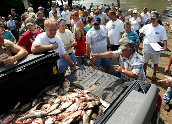 ADAM/JOURNAL STAR  Greg Vaughn of Havana tosses the last of his team's 82 fish into the bed of a truck during Friday's Redneck Fishing Tournament in Bath.
